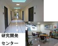 �E��̕��i